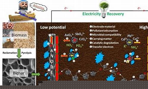 利用微生物技術修復污染土壤的方法